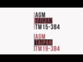 AGM Taipan TM19-384 vs TM15-384 Side By Side Distance Footage