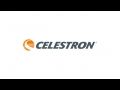 Celestron Echelon 10x70 Binoculars, Black 71450
