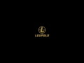 Leupold VX 6HD Gen2