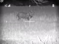 Night Owl Optics NightShot Hog