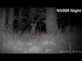 Pard NV008LRF footage