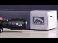 Sightmark Core SX 4x32 Pistol Scope Demo