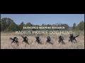 SWR Radius Prairie Dog Hunt