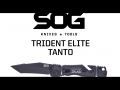 SOG Trident Elite Tanto Folding Knife