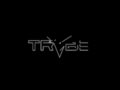TRYBE Defense BA Cantilever Mount