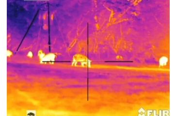 Image of Refurbished, Armasight Predator 640 1.5x25mm 30 Hz Thermal Imaging Weapon Sight, FLIR Tau 2 640x512 17um, 25mm Lens, TAT163WN2PRED15