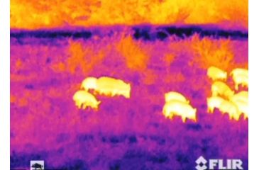 Image of Armasight Prometheus 4 Thermal Imaging Monocular, FLIR Tau 2 - 160x120, 30Hz Core, 42mm Lens TAT213MN4PROM41
