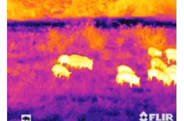 Image of Armasight Prometheus 640 1-8x25 Thermal Imaging Monocular, FLIR Tau 2 - 640x512, 17m, 30Hz Core, 25mm Lens TAT163MN2PROM11