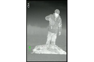 Image of ATN Mini-Thor 320-2x Thermal Imaging Weapon Sight TIWSMT322C