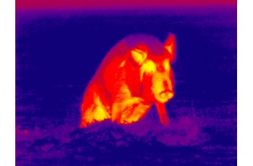 Image of DEMO ATN Thor 320 3x Enhanced Thermal Imaging Weapon Sight TIWSMT323D-DEMO