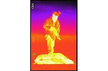 Image of Thor320-4.5x 336x256, 50mm, 60Hz, 17 Micron Thermal Weapon Sight