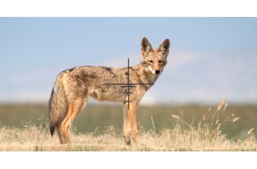 Image of ATN X-Sight-4k, 3-14x, Pro edition Smart Day/Night Hunting Rifle Scope with Full HD Video rec, WiFi, GPS, Smooth zoom and Smartphone controlling thru iOS or Android Apps, Black, DGWSXS3144KP