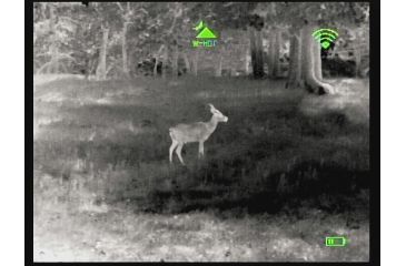 Image of Bering Optics Prodigy 348 1.0x25 Thermal Monocular W/2x-4x Digital Zoom and Wi-Fi , 348x256, Black, BE43125