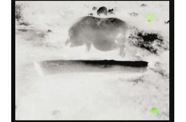 Image of Bering Optics Prodigy 348 1.0x25 Thermal Monocular W/2x-4x Digital Zoom and Wi-Fi , 348x256, Black, BE43125