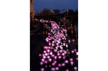 Image of Brite Strike APALS, Blue - 100 Pack APALSBLU