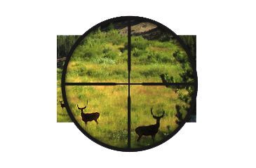 Image of BSA Optics - 30/30 Reticle