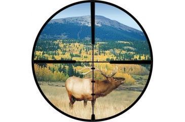 Image of Burris Ballistic Plex Reticle