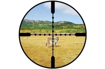 Image of Burris Ballistic Mil Dot Reticle