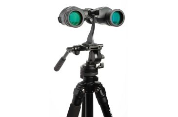 Image of Celestron LandScout 8x40 Binocular, Black 71361