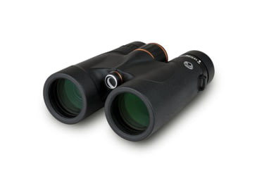 Image of Celestron Regal ED 10x42 Roof Prism Binoculars, Black, 71391