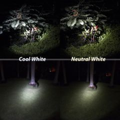 Image of Eagtac D25LC2 Mini  Flashlight, XP-G2 R5 CW LED, 530lm, Black 1726