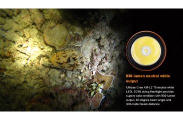 Image of Fenix Sd-series Flashlight - SD10T6BK