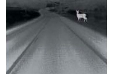 Image of Flir PathFind IR NightVision Image