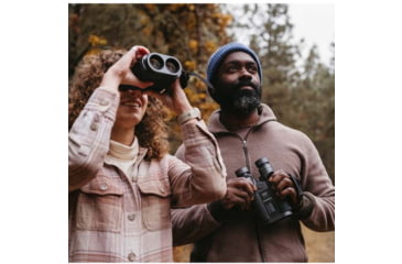 Image of Fujinon Techno-Stabi TS-L 20x40mm Stabilized Roof Prism Binoculars With Electronic Stabilization, Black/Grey, 185.5mm x 122mm x 72mm, 16900874