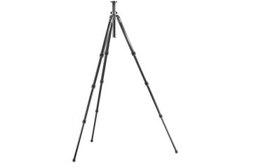 Image of Gitzo Series 2 Basalt Tripod - 4 Section G-lock GT2941