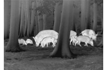 Image of Leica Calonox Trinity Set w/3-18x44 AmPlus 6 Rifle Scope, Black, 50505