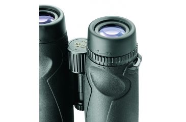 Image of Leupold BX-4 McKinley HD 10X42mm Roof Prism Binoculars, Black 117790