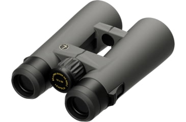 Image of Leupold Gen 2 BX-4 Pro Guide HD 10x50mm Binocular, Grey/Black, Small, 184762