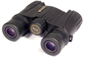 Image of Levenhuk Vegas Binoculars, Black, Medium 49143