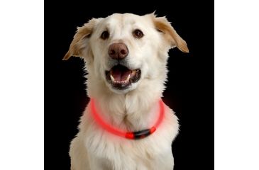 Image of Nite Ize Nite Howl LED Pet Safety Necklace,Red LED NHO-10-R3