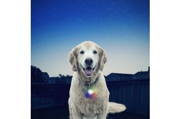 Image of Nite Ize SpotLit LED Carabiner Light, Disc-O Select, SGS-07S-R6