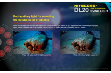 Image of Nitecore DL20 100m Underwater Submersible 1000 Lumen Dive Light with Red Light, Black, 6952506405275