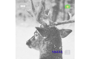 Image of Owlset 5x32 Digital Day &amp; Night Vision Monocular
