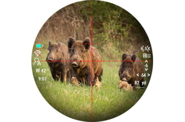 Image of PARD Optics DS35 Day and Night Vision Rifle Scope, Laser Range Finder, 5.6x70mm, 940nm IR, 2560x1440 px, Multiple Reticles, Black, DS35-70RF-940