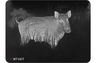 Image of PARD Optics Ocelot 256 2-2.9x19mm Thermal Imaging Monocular, 50hz, 256x192, Black, OC2-19