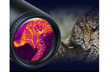 Image of PARD Optics TS34 4.7x45mm Thermal Imaging Rifle Scope, Black, TS34-45