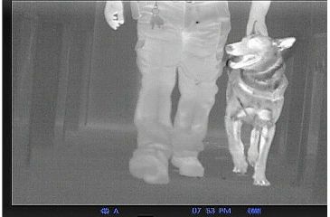 Image of Pulsar Quantum HD19A 1-2x Thermal Imaging Monocular,640x480 Display Resolution,30hz Refresh Rate PL77325