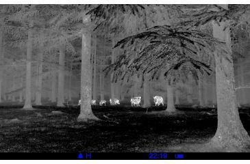 Image of Pulsar Quantum HD19A 1-2x Thermal Imaging Monocular,640x480 Display Resolution,30hz Refresh Rate PL77325