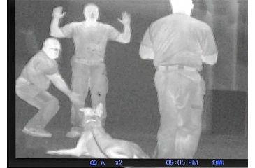 Image of Pulsar Quantum HD19A 1-2x Thermal Imaging Monocular,640x480 Display Resolution,30hz Refresh Rate PL77325