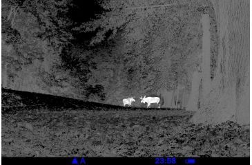 Image of Pulsar Quantum XD38A 2-8x32 Thermal Imaging Monocular, Black, PL77319