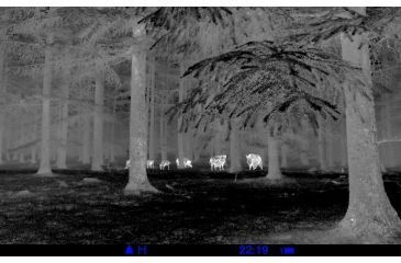 Image of Pulsar Quantum XD38A 2-8x32 Thermal Imaging Monocular, Black, PL77319