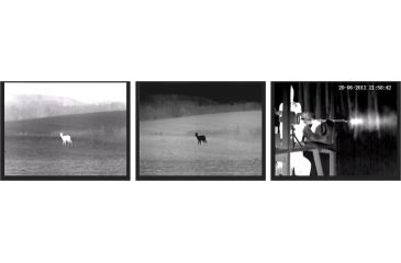 Image of Pulsar Thermal Imaging Scope Quantum 2x HD 38 - 30hz 384x253 PL77301