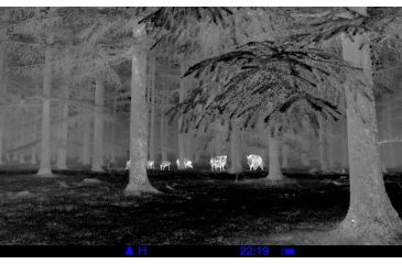 Image of Pulsar Thermal Imaging Scope Quantum HD19S PL77313