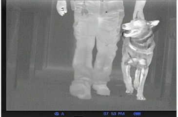 Image of Pulsar Thermal Imaging Scope Quantum HD19S PL77313