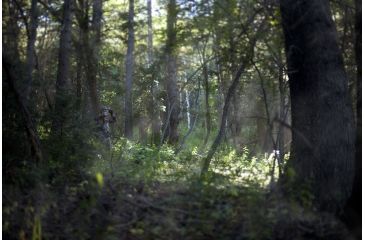 Image of SIG SAUER Zulu5 10x42 Roof Prism Binocular w/HD Glass, Graphite SOZ51001