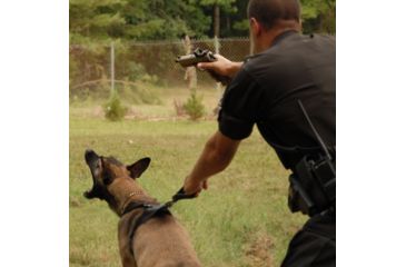 Image of Trijicon RM01 RMR Type 2 LED Red Dot Sight, 3.25 MOA Red Dot, No Mount, Hard Anodized, Black, RM01-C-700600